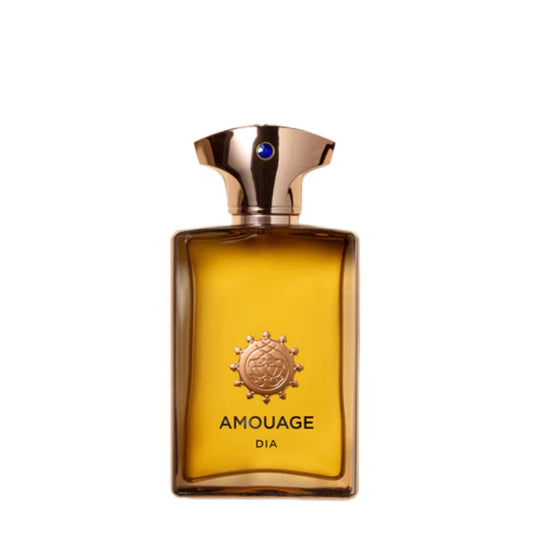 AMOUAGE - DIA MAN EDP 100ML (SCATOLATO)